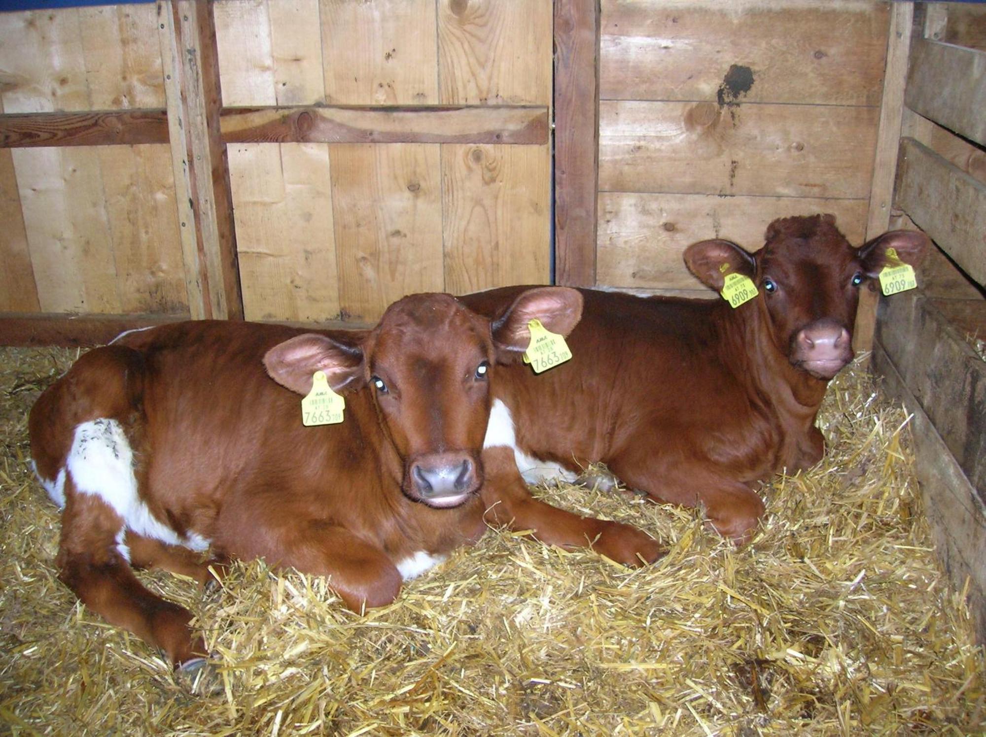 Séjour à la ferme Seetalhof